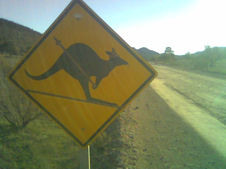 Kangaroo skiing - sign Australia