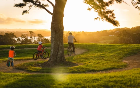 1 adult and 2 children cycling past a tree at sunset